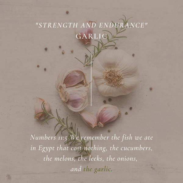 Garlic, The Aroma of Strength & Endurance